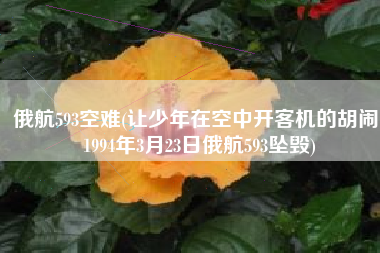 俄航593空难(让少年在空中开客机的胡闹：1994年3月23日俄航593坠毁)
