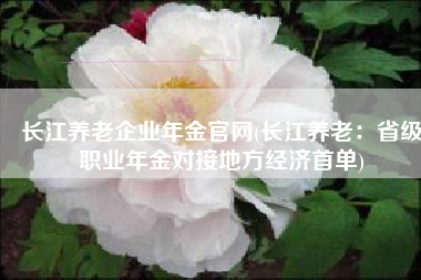 长江养老企业年金官网(长江养老：省级职业年金对接地方经济首单)