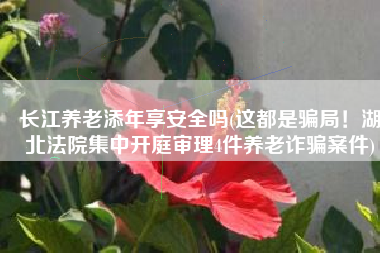 长江养老添年享安全吗(这都是骗局！湖北法院集中开庭审理4件养老诈骗案件)