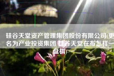 硅谷天堂资产管理集团股份有限公司(更名为产业投资集团 硅谷天堂在布怎样一盘棋)