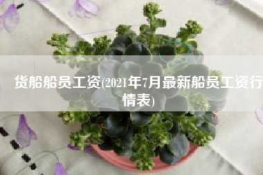 货船船员工资(2021年7月最新船员工资行情表)