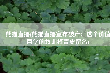 熊猫直播(熊猫直播宣布破产：这个价值百亿的教训将青史留名)