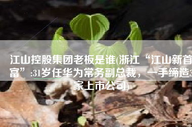 江山控股集团老板是谁(浙江“江山新首富”:31岁任华为常务副总裁，一手缔造3家上市公司)