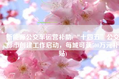 新能源公交车运营补助(“十四五”公交都市创建工作启动，每城可获500万元补贴)