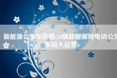 新能源公交车价格(20辆新能源纯电动公交车投入运营)