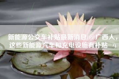 新能源公交车补贴最新消息(@广西人，这些新能源汽车和充电设施有补贴→)