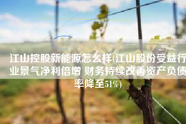 江山控股新能源怎么样(江山股份受益行业景气净利倍增 财务持续改善资产负债率降至51%)