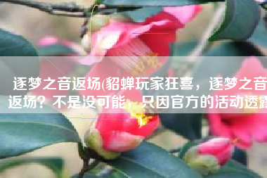 逐梦之音返场(貂蝉玩家狂喜，逐梦之音返场？不是没可能，只因官方的活动透露)