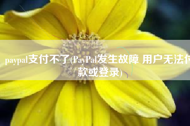 paypal支付不了(PayPal发生故障 用户无法付款或登录)
