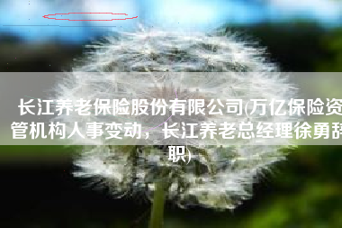 长江养老保险股份有限公司(万亿保险资管机构人事变动，长江养老总经理徐勇辞职)