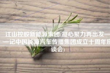 江山控股新能源集团(凝心聚力再出发——记中国能源汽车传播集团成立十周年座谈会)