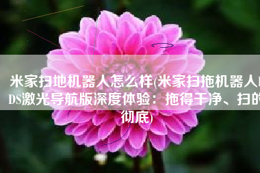 米家扫地机器人怎么样(米家扫拖机器人LDS激光导航版深度体验：拖得干净、扫的彻底)