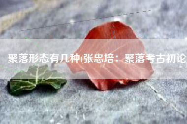 聚落形态有几种(张忠培：聚落考古初论)
