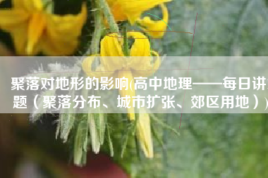 聚落对地形的影响(高中地理——每日讲1题（聚落分布、城市扩张、郊区用地）)