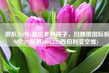 俄航593号(最坑爹熊孩子，回顾俄国际航空593航班1994.3.23西伯利亚空难)
