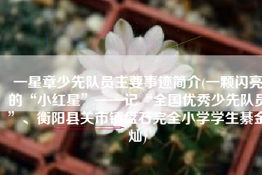 一星章少先队员主要事迹简介(一颗闪亮的“小红星”——记“全国优秀少先队员”、衡阳县关市镇盘石完全小学学生綦金灿)