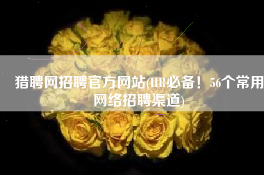 猎聘网招聘官方网站(HR必备！56个常用网络招聘渠道)