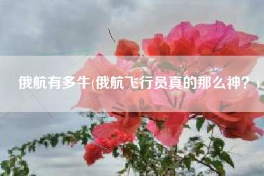 俄航有多牛(俄航飞行员真的那么神？)