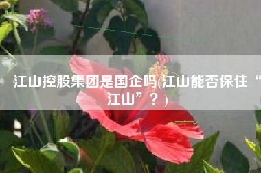 江山控股集团是国企吗(江山能否保住“江山”？)