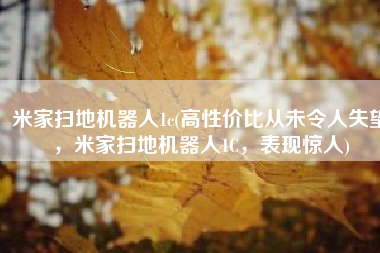 米家扫地机器人1c(高性价比从未令人失望，米家扫地机器人1C，表现惊人)