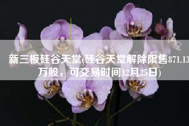 新三板硅谷天堂(硅谷天堂解除限售871.13万股，可交易时间12月25日)