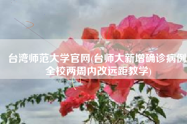 台湾师范大学官网(台师大新增确诊病例 全校两周内改远距教学)