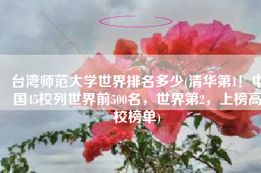 台湾师范大学世界排名多少(清华第1！中国45校列世界前500名，世界第2，上榜高校榜单)