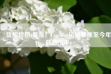 货船价格(暴涨！Capesize运价暴涨至今年最高水平)