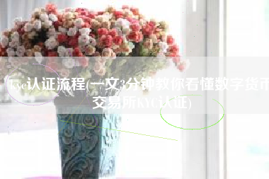 kyc认证流程(一文3分钟教你看懂数字货币交易所KYC认证)