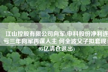 江山控股有限公司向军(申科股份净利连亏三年向军再谋入主 何全波父子拟套现4.95亿清仓退出)