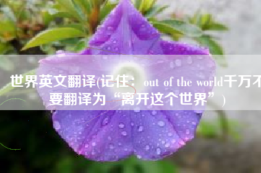 世界英文翻译(记住：out of the world千万不要翻译为“离开这个世界”)