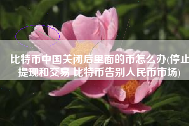 比特币中国关闭后里面的币怎么办(停止提现和交易 比特币告别人民币市场)