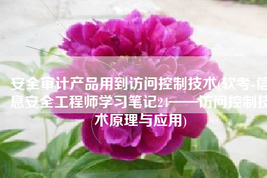 安全审计产品用到访问控制技术(软考-信息安全工程师学习笔记24——访问控制技术原理与应用)