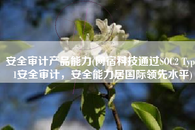 安全审计产品能力(网宿科技通过SOC2 Type1安全审计，安全能力居国际领先水平)