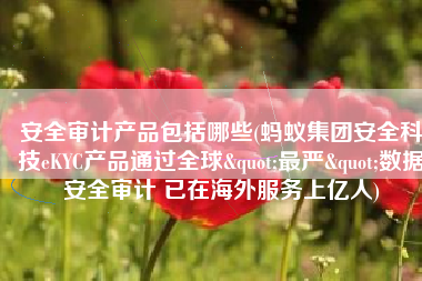 安全审计产品包括哪些(蚂蚁集团安全科技eKYC产品通过全球"最严"数据安全审计 已在海外服务上亿人)