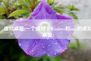 虚拟桌面(一个适用于Windows和mac的虚拟桌面)