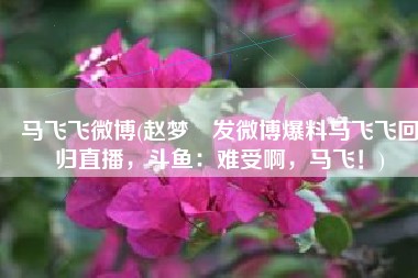马飞飞微博(赵梦玥发微博爆料马飞飞回归直播，斗鱼：难受啊，马飞！)