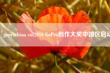goprochina cn(2016 GoPro创作大奖中国区启动)