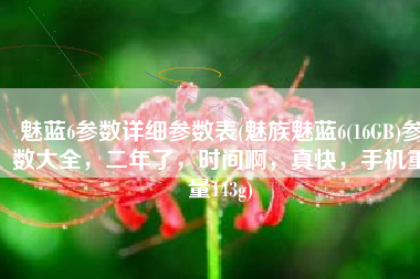 魅蓝6参数详细参数表(魅族魅蓝6(16GB)参数大全，二年了，时间啊，真快，手机重量143g)