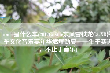 amcc是什么车(2017GoStar东风雪铁龙C3-XR汽车文化音乐嘉年华燃爆劲夏——生于赛道，不止于音乐)