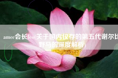 amcc会长leo(关于国内仅存的第五代谢尔比野马的深度解析)