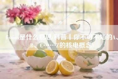 fission是什么意思(科普丨你不可不知的A、B、C……Z的核电概念)