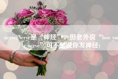 nerve(Nerve是“神经”，但老外说“lose your nerve”可不是说你发神经)