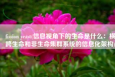 fission yeast(信息视角下的生命是什么：横跨生命和非生命集群系统的信息化架构)
