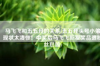 马飞飞和五五开的关系(五五开头号小弟现状太凄惨！中奖后马飞飞拒发奖品遭粉丝怒喷)
