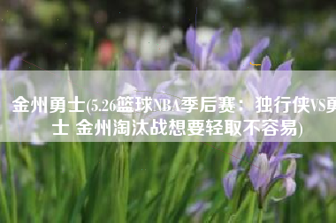 金州勇士(5.26篮球NBA季后赛：独行侠VS勇士 金州淘汰战想要轻取不容易)