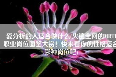 爱分析的人适合做什么(火遍全网的MBTI职业岗位图鉴大赏！快来看你的性格适合哪种岗位吧)