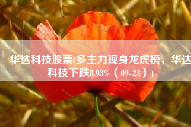 华达科技股票(多主力现身龙虎榜，华达科技下跌8.93%（09-23）)