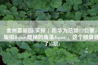 金洲嘉丽园(实探 | 距华为总部2.2公里，坂田"隐秘的角落"，这个楼盘建了15层)