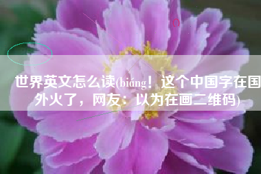 世界英文怎么读(biáng！这个中国字在国外火了，网友：以为在画二维码)